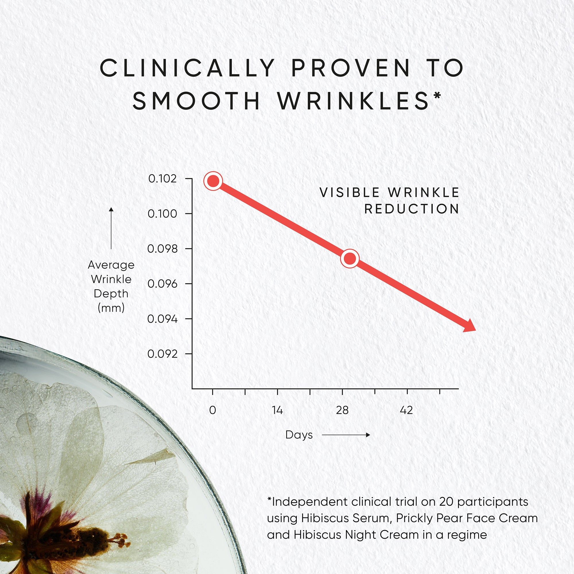 Hibiscus Rejuvenating Night Cream Refill