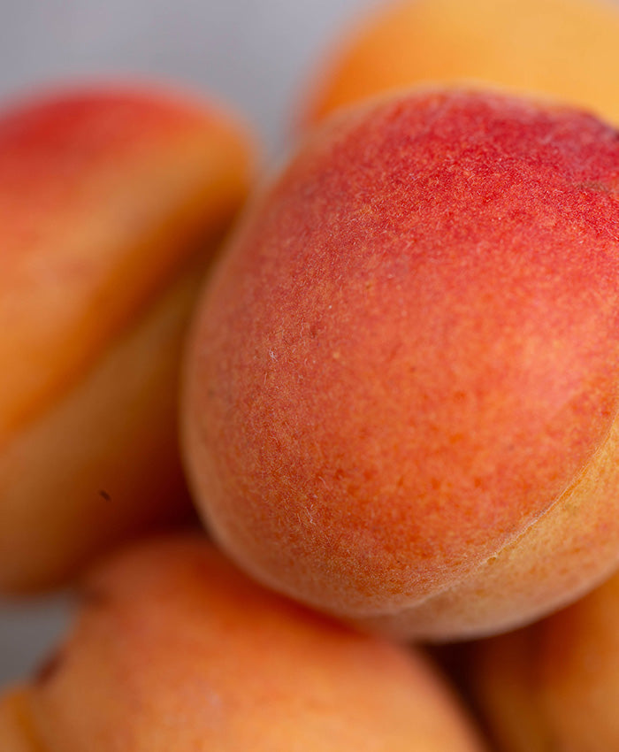 Il Menù: Apricots