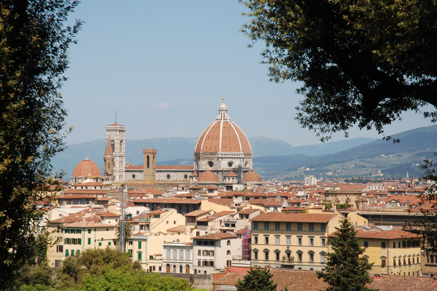 Forte Insider: Irene’s Guide to Florence