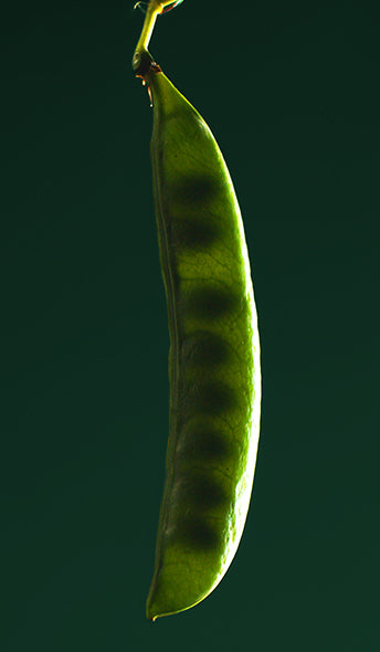 desktop-image