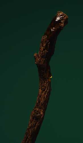 mobile-image