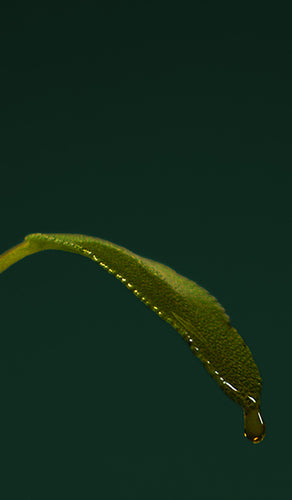 mobile-image