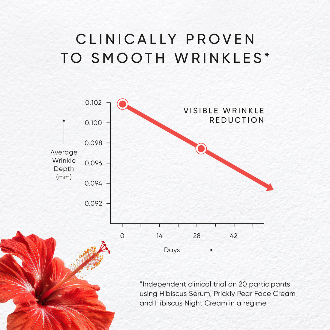 Irene Forte Skincare Hibiscus Serum product with packaging on a white background