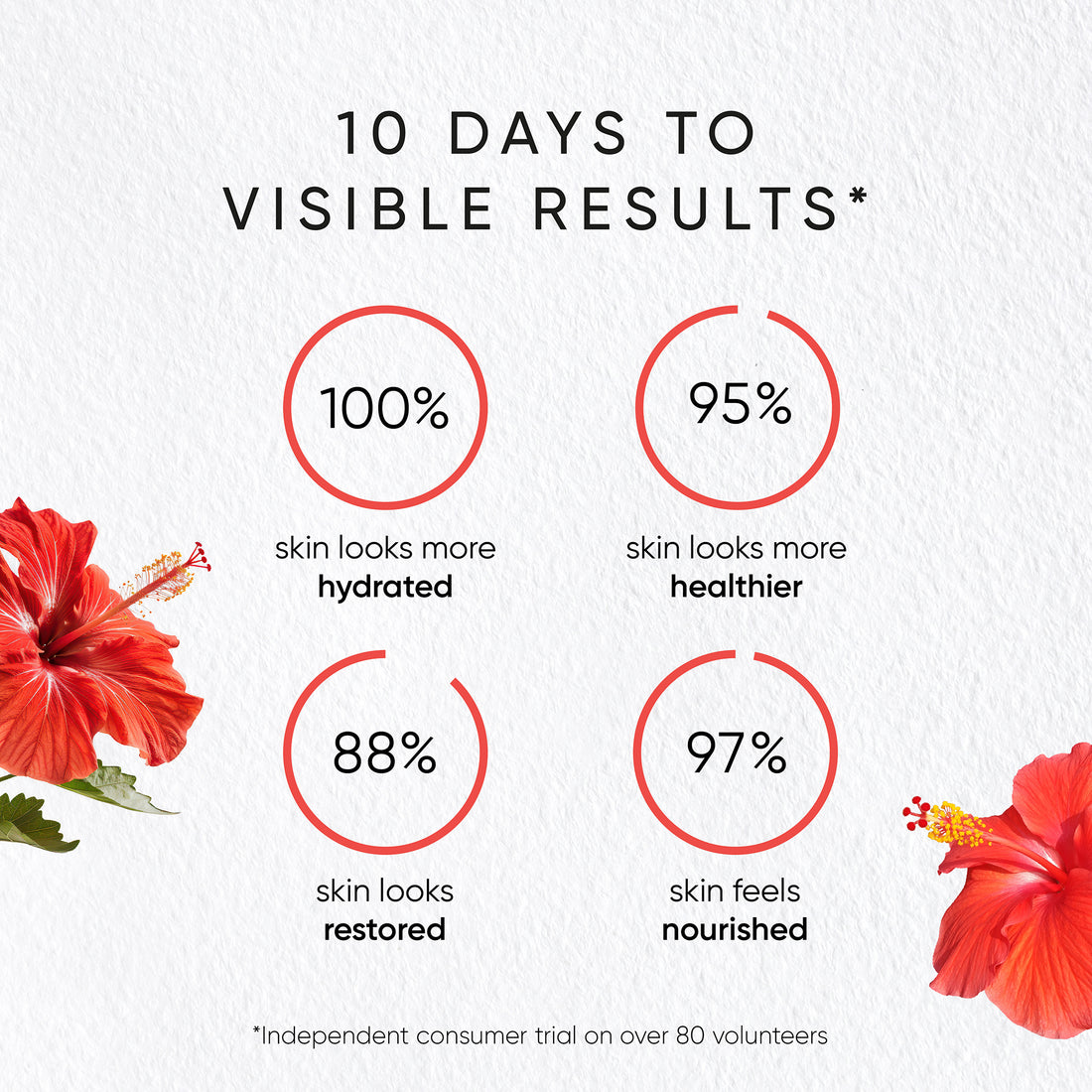 Hibiscus Rejuvenating Night Cream
