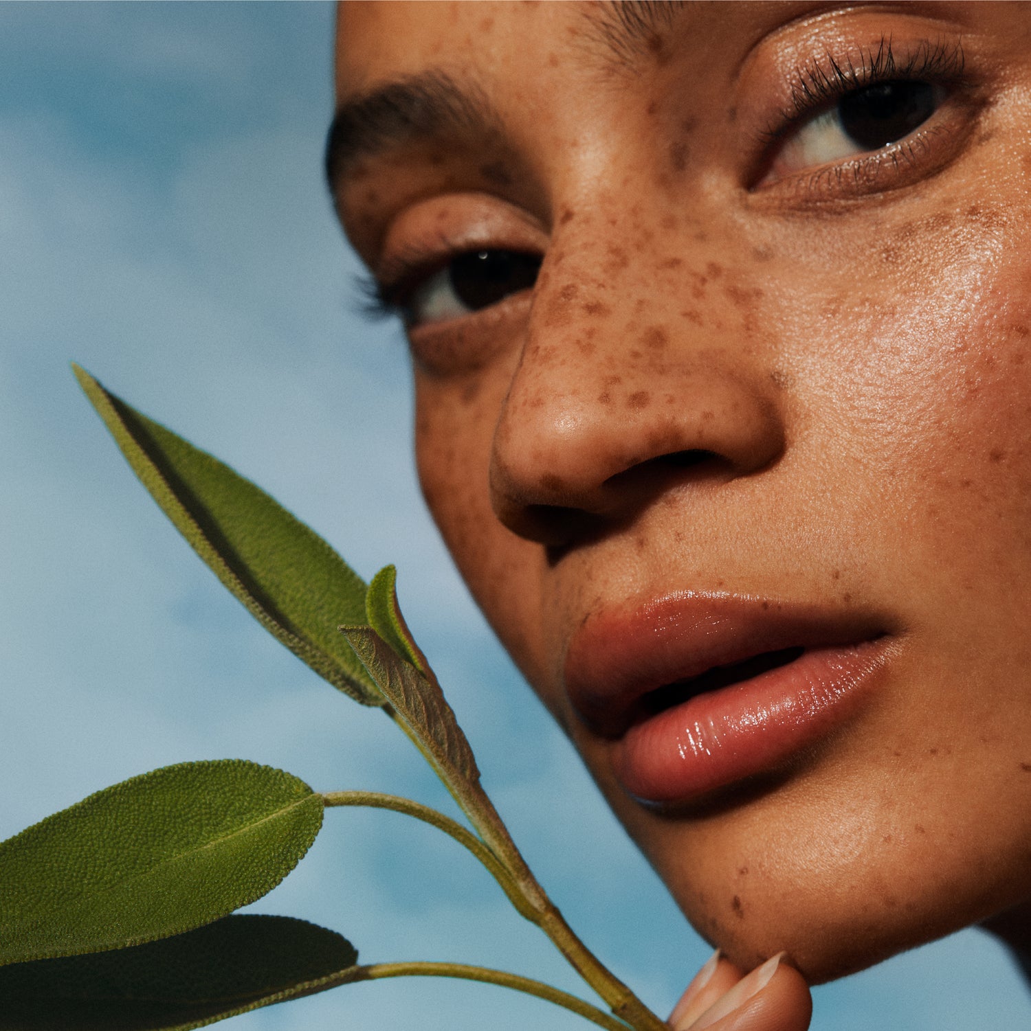 Pistachio Face Oil Refill