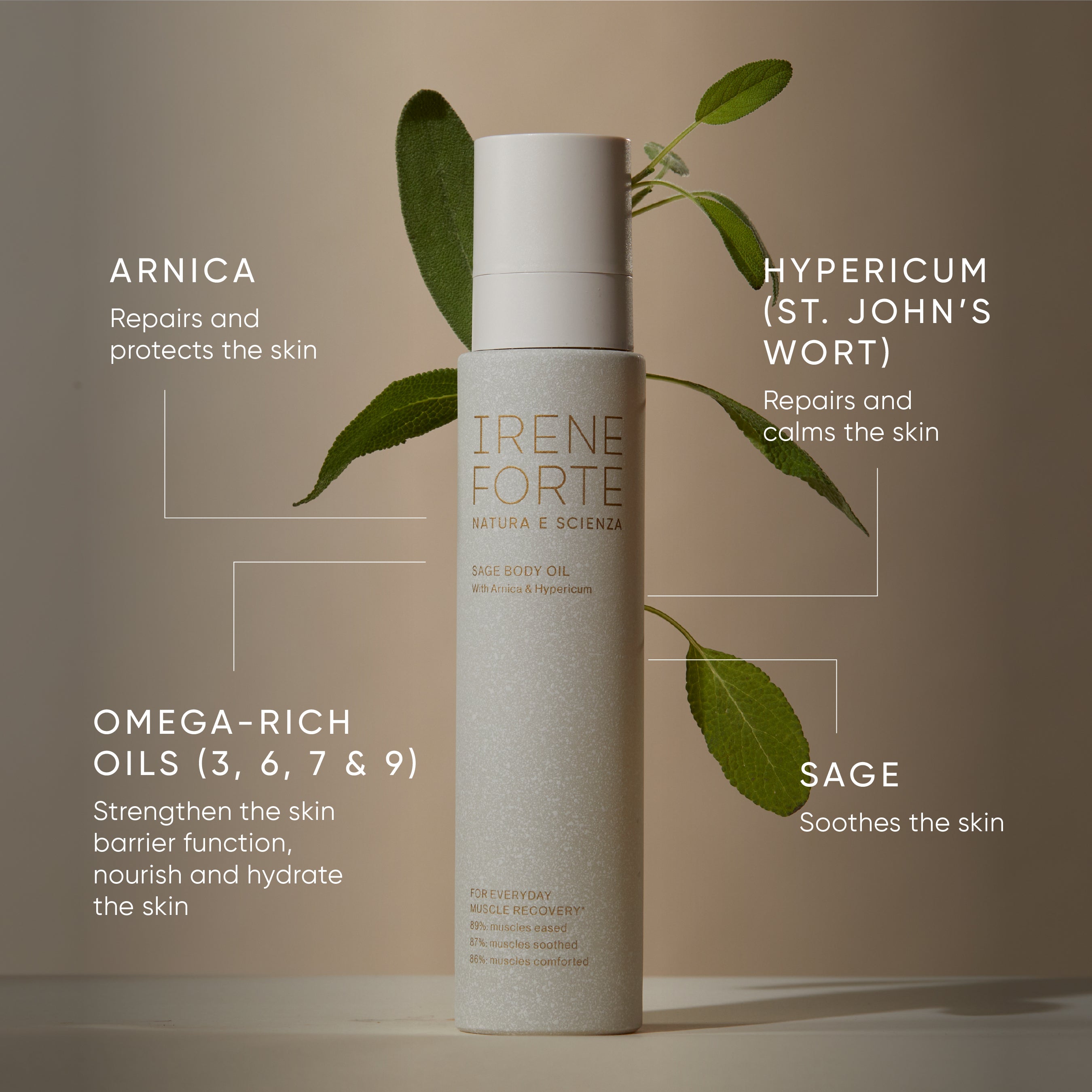 Sage Body Oil